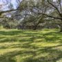Wood Cabin at Chocolate Bayou Preserve