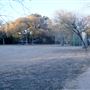 Scofield Farms Neighborhood Park