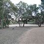 North Oaks Neighborhood Park