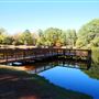 Synergy Park
