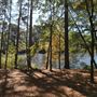 Synergy Park