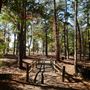 Synergy Park