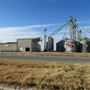 Top Tier Grain & Feed