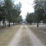 Miles Cemetery