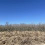 Property at 721 Rohde Rd