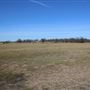 Marlin Municipal Airport (T-15)