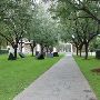 Nasher Sculpture Center