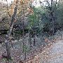 Wimberley Zipline Adventures
