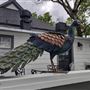 Pecan Street Cafe