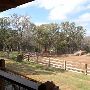 Hyatt Regency Lost Pines Resort and Spa - Renegade Equestrian Center