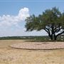 The Terrace at Highland Lakes