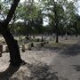 Oakwood Cemetery