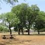 Miles City Park