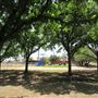 Miles City Park