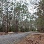 Lake Livingston State Park