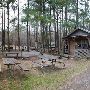 Lake Livingston State Park