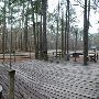 Lake Livingston State Park