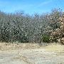 Lake Eastland - Old South Spillway