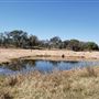 Gemini Movie Ranch
