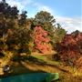 Scottsville Property