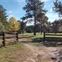 Scottsville Property