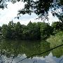San Antonio Botanical Garden - Lake
