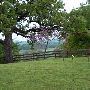 Maysel Ranch