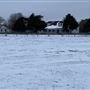 Shirttail Creek Farm