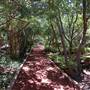 Clark Gardens Botanical Park