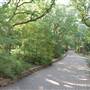Clark Gardens Botanical Park