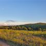 Kestrel Ranch