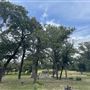 Conrey Ranch