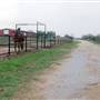 Two Wishes Ranch