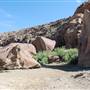 Horseback Riding Trails