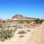 Horseback Riding Trails