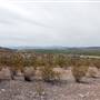River Road - FM 170