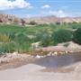 Lajitas Golf Resort and Spa - Golf Course