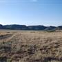 CF Ranch