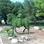 Chisholm Trail Memorial Park