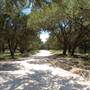 Blue Hole Regional Park