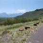 Big Bend National Park