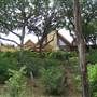 Cedars on the Brazos Bed & Breakfast