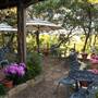 Cedars on the Brazos Bed & Breakfast