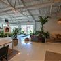 Eden Plant Co.