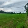 Hidden Meadows Ranch