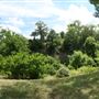Spiderwood Studios 969 - Backlot