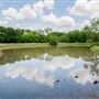 Allan Saxe Park