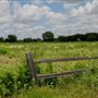 Blackland Prairie Park