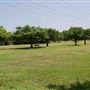 Bob Cooke Park