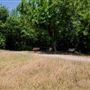 Bob Findlay Linear Park